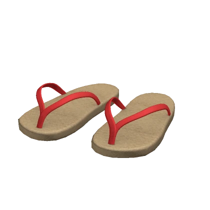 Summer Slippers