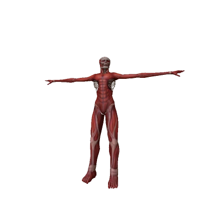 Armin Colossal Titan 2 ⭐Anime⭐