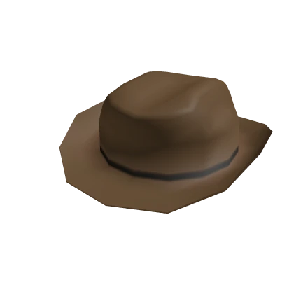 Brown Cowboy Hat