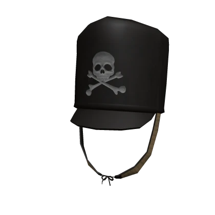 1. Leib-Husaren Campaign Shako