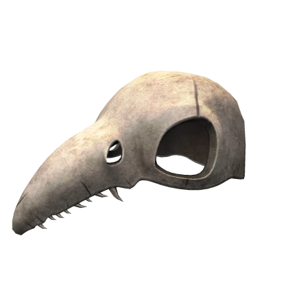 Bird Skull