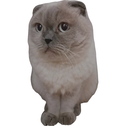 Code: IRI | Iriska Cat