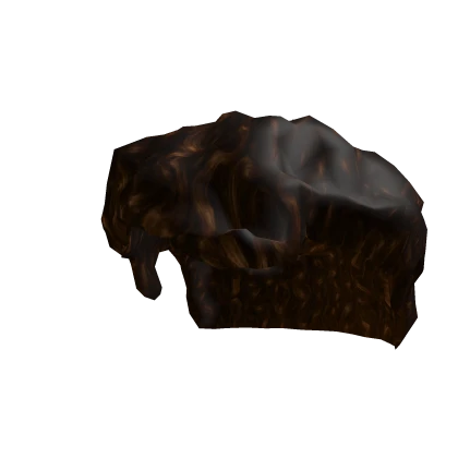 Shedletsky's Curly Hair