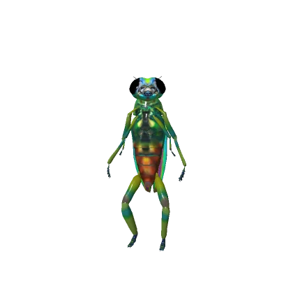 Bug