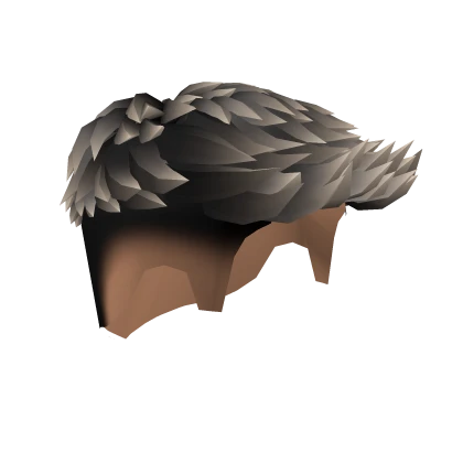 Swept Burst Fade Hair Black Highlights