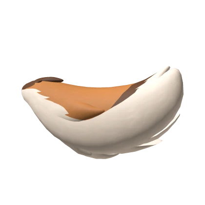 Fennec Fox Tail