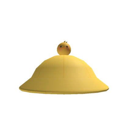 Cute Small Duck Hat