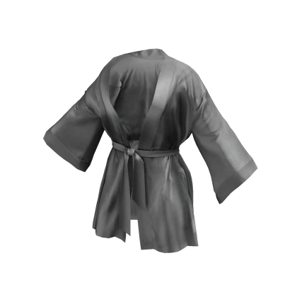 Silk Robe (Silver)