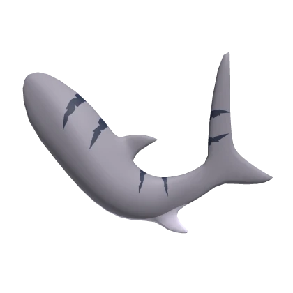 Typical Tiger Shark Tail
