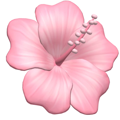 summer tropical flower