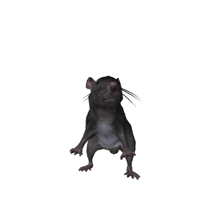 Realistic Rat