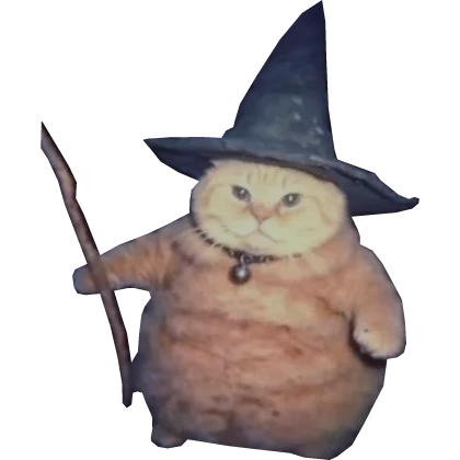 Wizard Cat