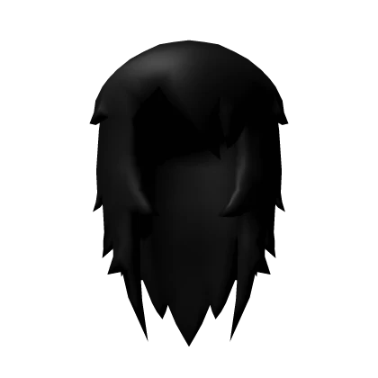 Black Long Low Poly Hair