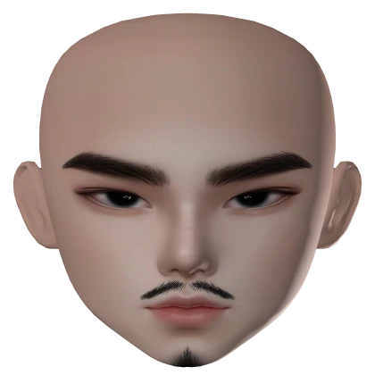 ZESLIN BEARD BOY MAKEUP FACE KOREAN JAPANESE ANIME