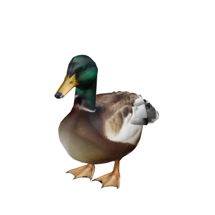Cute Duck Suit
