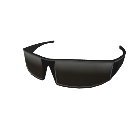 Sleek Sunglasses
