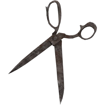 Old Rusty Scissors