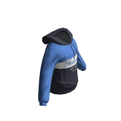 Colorblock Hoodie