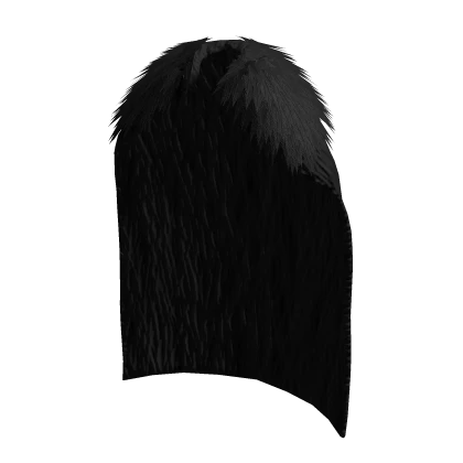 Long Black Fur Cape