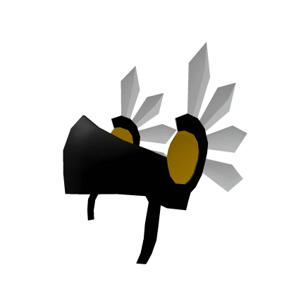 Black Valkyrie