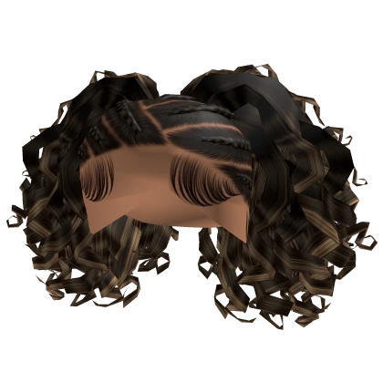 Braids with Curls [brown & blonde]