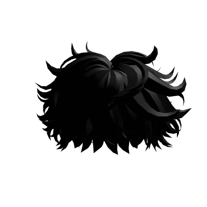 Black Fluffy Messy Hair