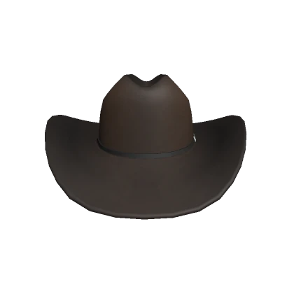 Brown Sheriff Hat