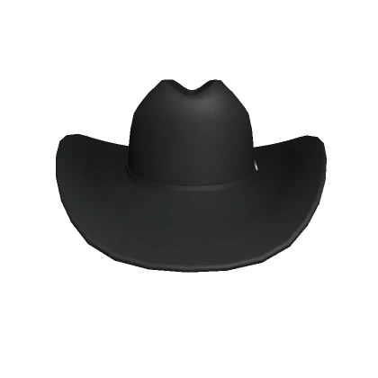 Black Sheriff Hat