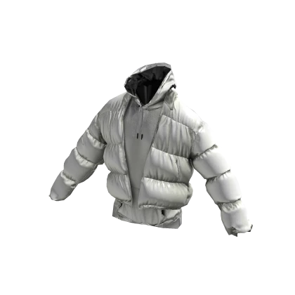 ʚ♡ɞ White Puffer Jacket with White Hoodie 