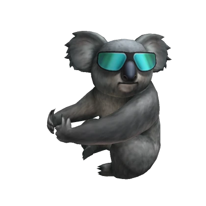 Too Cool Koala