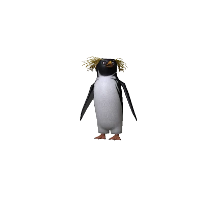 Cody Penguin