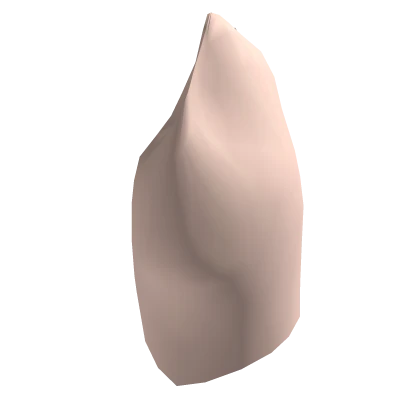 HSR x Fate Saber Neck