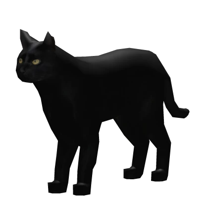 Black Cat