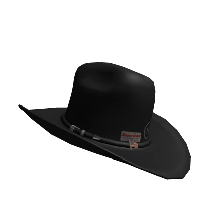 Cowboy Hat American