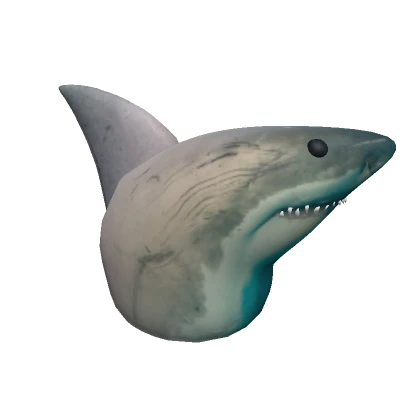 Realistic Shark Head 🦈