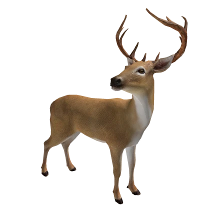 Cute π¦ Christmas Deer Santa Reindeer Xmas Animal