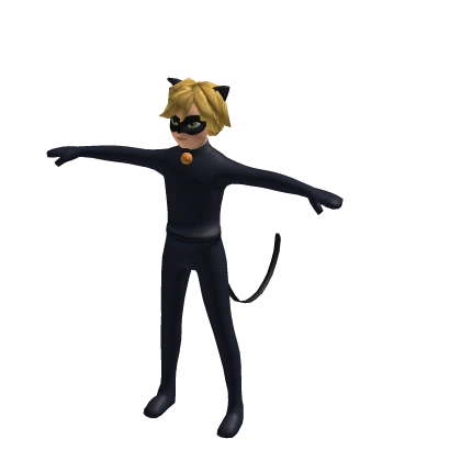 Cat Noir 