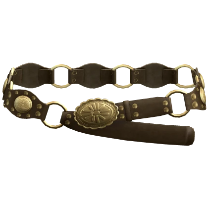 Brown / Gold Boho Buckle Belt 3.0