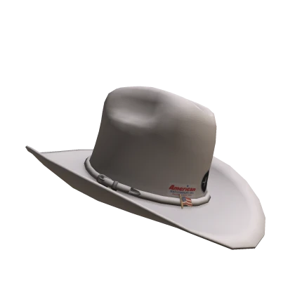 Cowboy Hat American