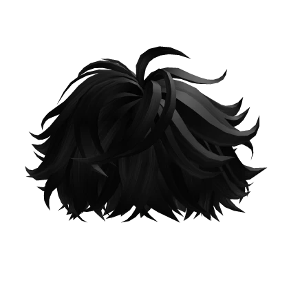 Fluffy Messy Black Hair