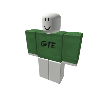 GTE Hoodie