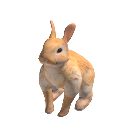 Mini Bunny Suit