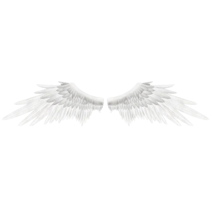 wings