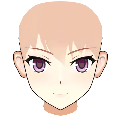 Realistic Astolfo Paladin Face