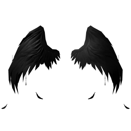Elegant Divine Black Wings