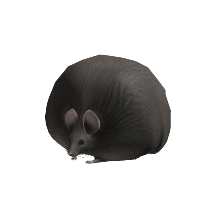 BIGGEST Mouse