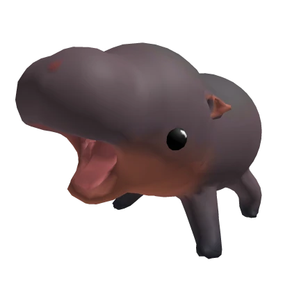 [FOLLOWS] Moo Deng Pet
