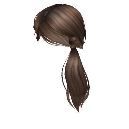 Aesthetic Low Ponytail in Brown