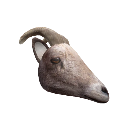 Realistic Goat 🐐