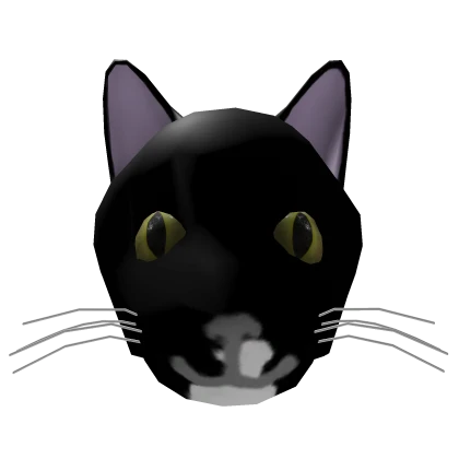 Plamka the tuxedo cat head